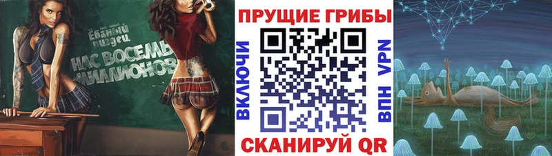 где продают наркотики ссылка на мегу ССЫЛКА Псилоцибиновые грибы ЛСД Верхотурье